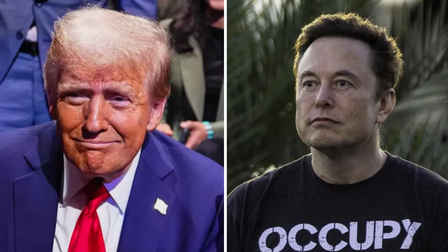 Trump Announced Elon Musk Official Duties in Federal Government